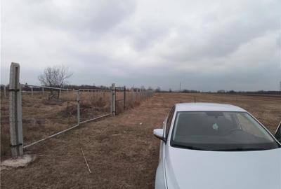 Teren de 1000 mp, în Priseaca - 2