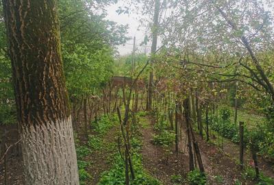 Casă cu 4 camere în Băbăița - 3