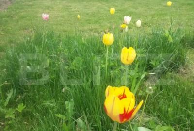 Casă cu 3 camere cu Canalizare în Baciu - 1