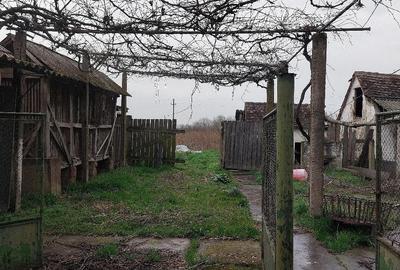 Casă cu 2 camere cu Teren 2258 Mp în Belfir - 3