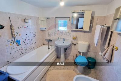 Casă cu 3 camere cu Teren 3724 Mp în Borlești - 12