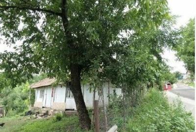 Casa si teren Costinesti, Botosani, ID: R2728052 - 7