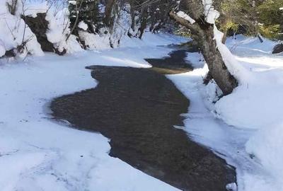 Spațiu comercial, în Plaiul Foii - 2