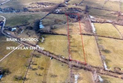 Teren de 5967 mp, în Bran - 16