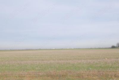 Teren de 270000 mp, în Gherghița - 1