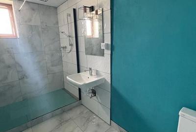 CASA DE INCHIRIAT IN SANPETRU - 17