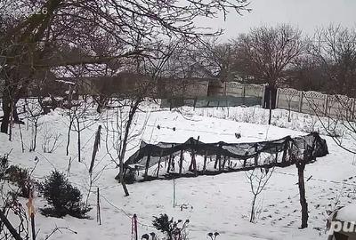 Casă cu Teren 1300 Mp în Gogoșari - 7