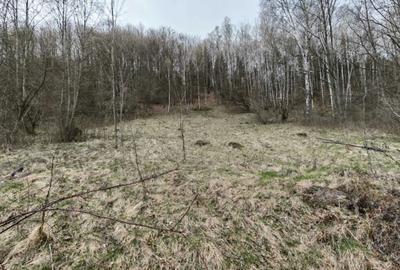 Teren de 6855 mp, în Exterior Vest - 2