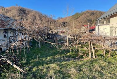 Casă cu 4 camere cu Teren 815 Mp în Târgu Neamț - 2