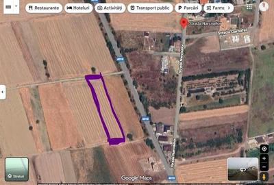 Teren 3000 mp - Comuna 1 Decembrie - Ilfov - 1