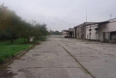 Spațiu comercial, de 10,000 mp, în Drăguțești - 5