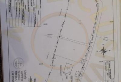 Casă cu 3 camere cu Teren 4696 Mp în Central - 3