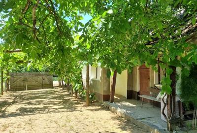 Casă cu 2 camere în Șimian - 3