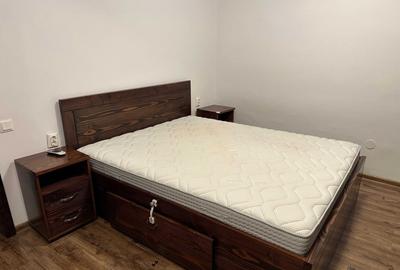 Apartament de 2 camere in vila – Zona Dacia–Vasile Lascar - 3