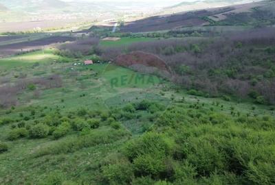 Teren de 659000 mp, în Copșa Mică - 7