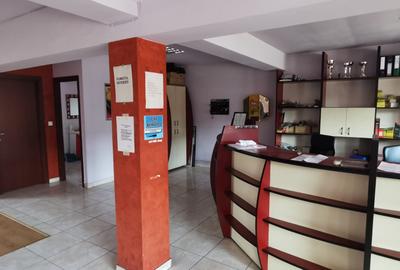 Elisabetin - Sp. Comercial - 252mp utili - teren 382mp - 2
