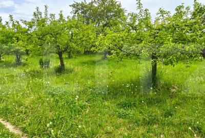 Teren de 600 mp, în Calea Moldovei - 2
