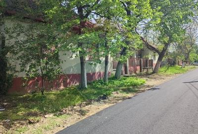 Casa solida cu teren 1081 mp Siria soseaua principala spre Cetate - 7