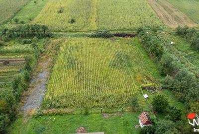 Casa + teren mare in Iclod, DN1C ideal investi?ie - 5