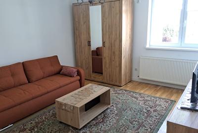 Apartament cu 2 camere semidecomandat în Cetate - 2
