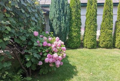 Casă cu 2 camere cu Teren 75 Mp în Central - 6