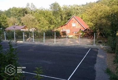 Casă cu 6 camere cu Teren 2500 Mp în Căsoaia - 17