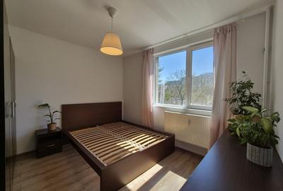 Apartament cu 2 camere decomandat, mobilat în Drumul Taberei - 5