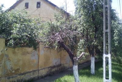 Casă cu 4 camere cu Teren 4000 Mp în Vinga - 3