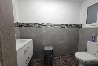 Spatiu de inchiriat in Brancoveanu - 2