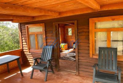 Cabana 50 mp, cartier Zorilor - 3