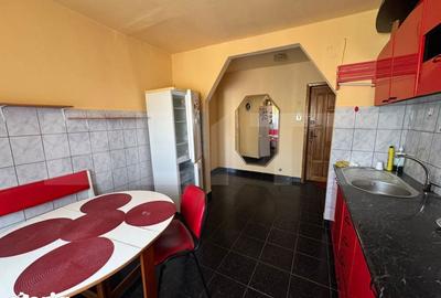 Apartament cu 2 camere semidecomandat în Gojdu - 2