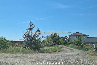 Teren de vanzare in Constanta, Veterani - 500 mp - 2