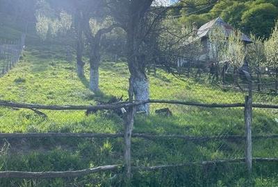 Teren de 1365 mp, în Berislăvești - 2