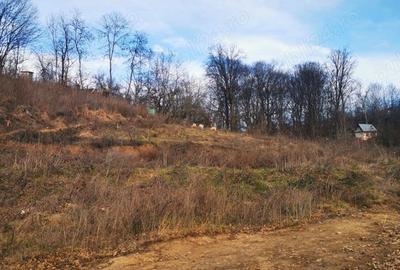 Teren de 600 mp, în Central - 5