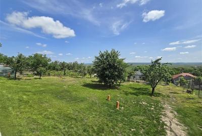 Casa  - Panoramic Probota - 17