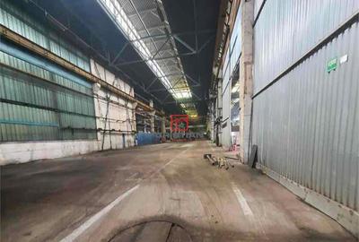 Hala/depozit/spatiu industrial Brasov - Tractorul, Brasov - 3