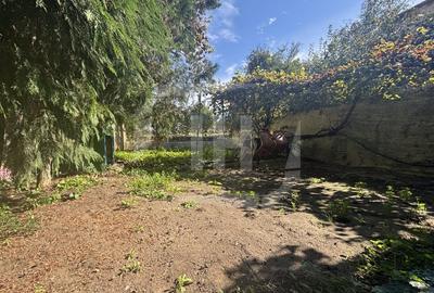 Casa individuala, 4 camere, parcare I Zorilor I UMF Casa individuala, 4 camere, parcare I Zorilor I UMF - 13