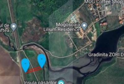 Teren de Vanzare - Lac Mogosoaia - 6