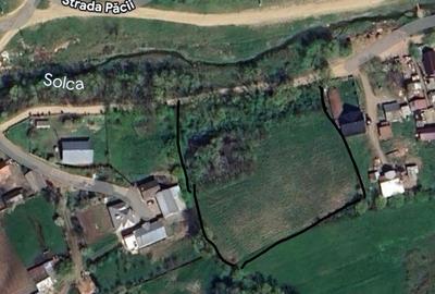 Casă cu 4 camere în Arbore - 5