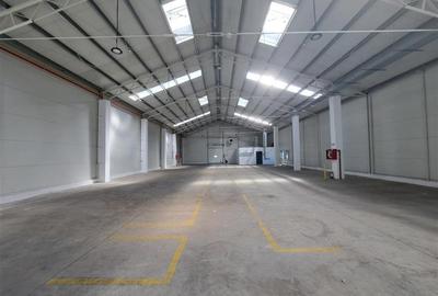 Spațiu comercial, de 617 mp, în Someșeni - 3