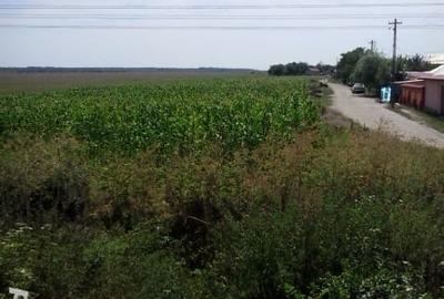 Teren de 7500 mp, în Central - 5