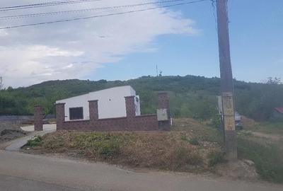 Casă cu Teren 500 Mp în Tomești - 2