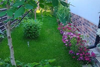 Casă cu 3 camere cu Teren 508 Mp în Tei - 12