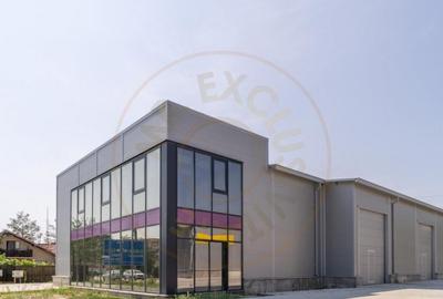 Inchiriere hala noua zona Bascov la DN 7C Inchiriere hala noua zona Bascov la DN 7C - 2