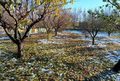 Teren de 4400 mp, în Ceacu - 5
