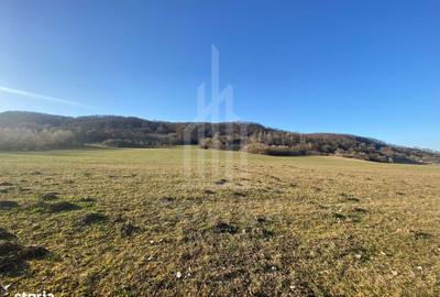 Spațiu comercial, în Veștem - 3