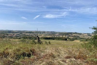 Teren extravilan de vanzare in Tileagd - 3166 mp cu panorama superba - 15