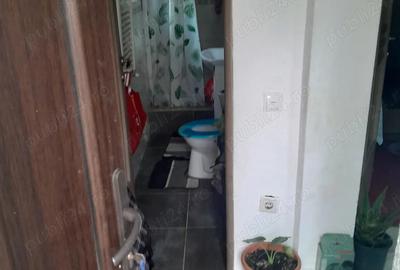 Casa la curte de vanzare, sector 3 - 2