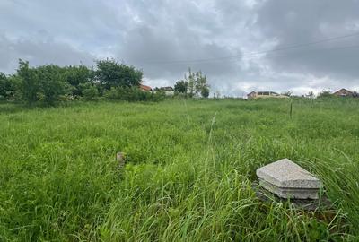 Oportunitate unica – Teren intravilan de vanzare – 500 mp, Loc. Sura Mare-Sibiu - 2
