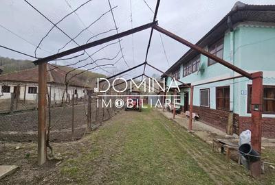 Casă cu Teren 1852 Mp în Ciuperceni - 8